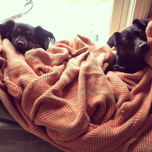 Bookmark My Closet ♡ - Picture 8 of 8